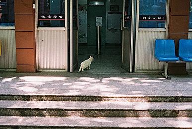 14年经典《泰拉瑞亚》最终更新日志公开 将追加新武器