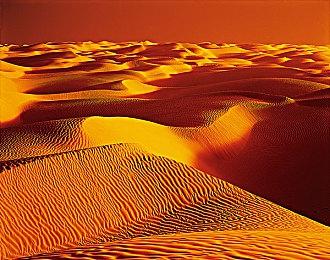 《神鸟辩护者》Switch版发售 铅笔手绘风好评如潮